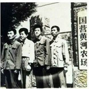 图19-1981年6月到黄河农场机收实习1